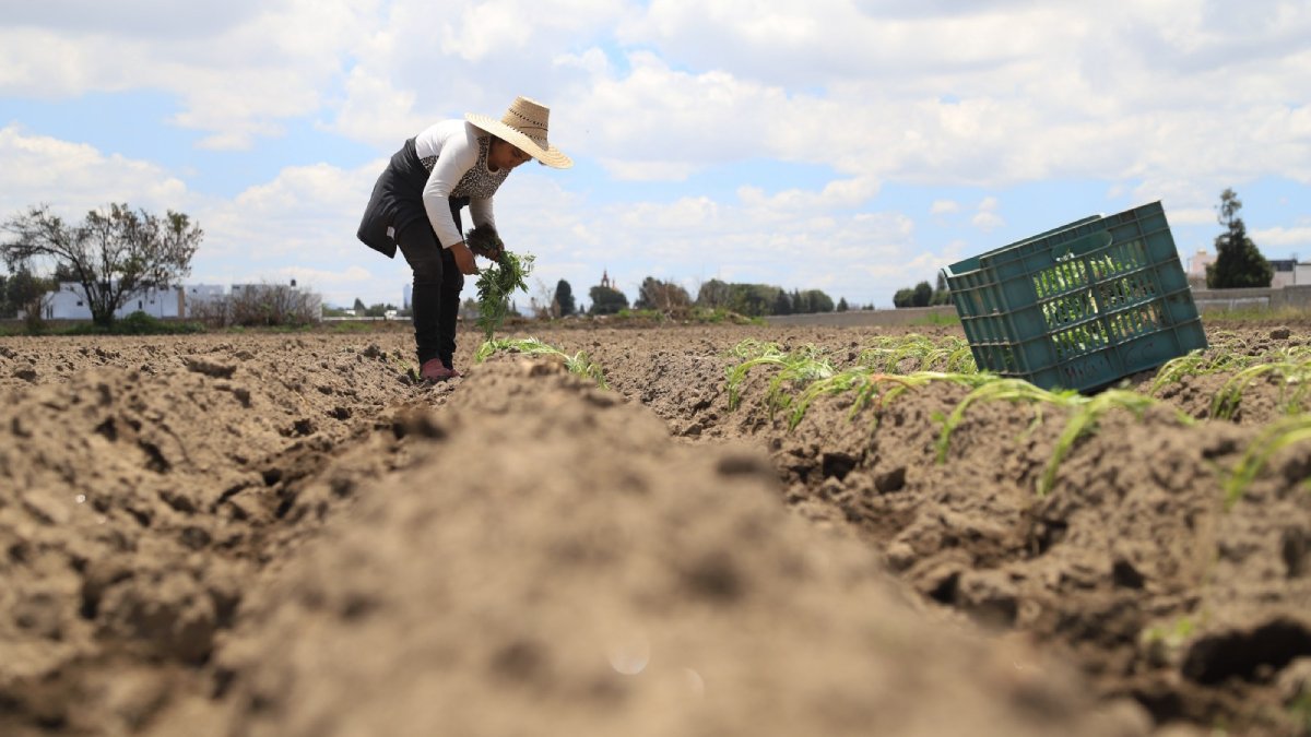 Está en su territorio y quedaron fuera de beneficios de la Santa María; ejidos exigen agua