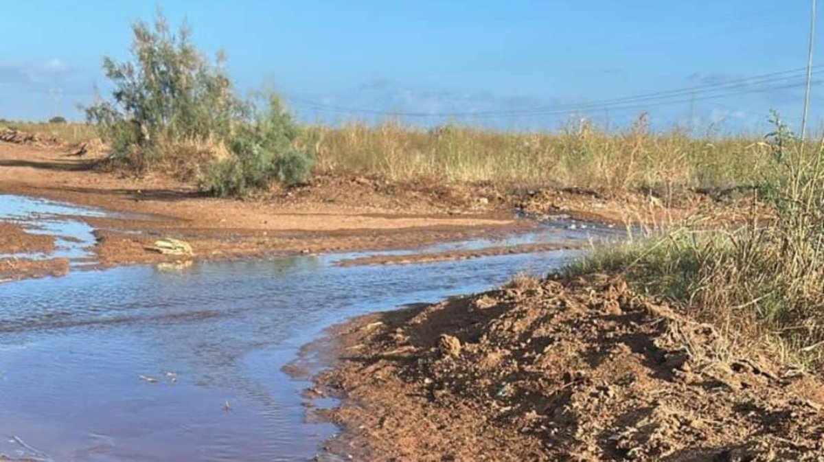 Campesinos de El Carrizo rastrean sus parcelas tras la abundante lluvia