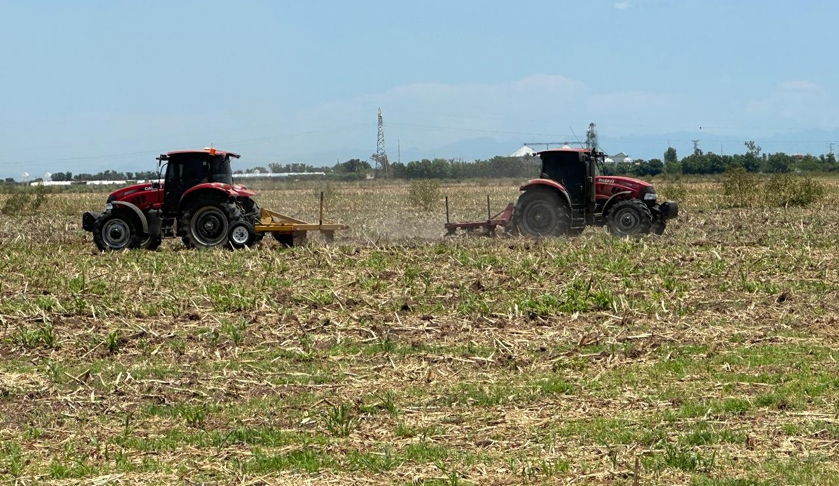 Agricultores del norte de Sinaloa advierten del riesgo de la pérdida de cosechas por la sequía