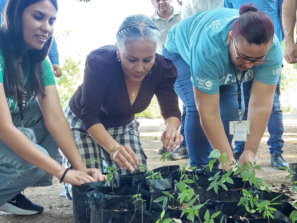 En Salvador Alvarado, apuestan por la ecología y el rescate de espacios verdes; inician embolsado de plantas