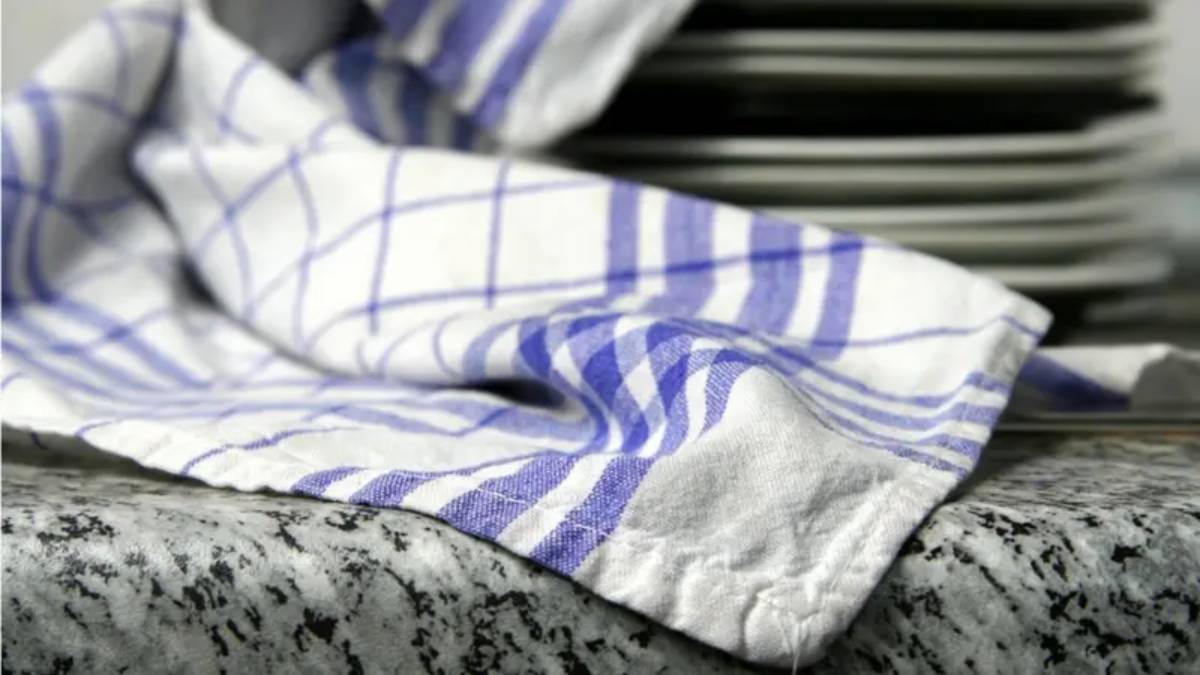 Bacterias en los trapos de cocina: un peligro invisible en tu hogar