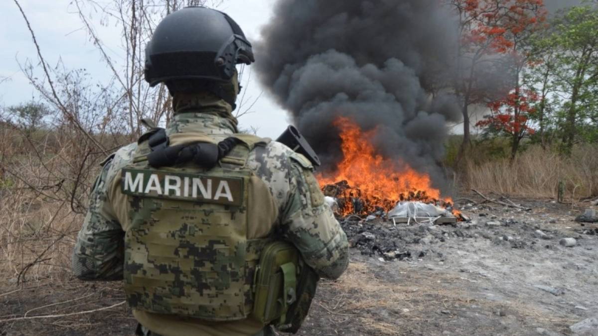 Semar destruye plantíos de mariguana vinculados al CJNG en Baja California