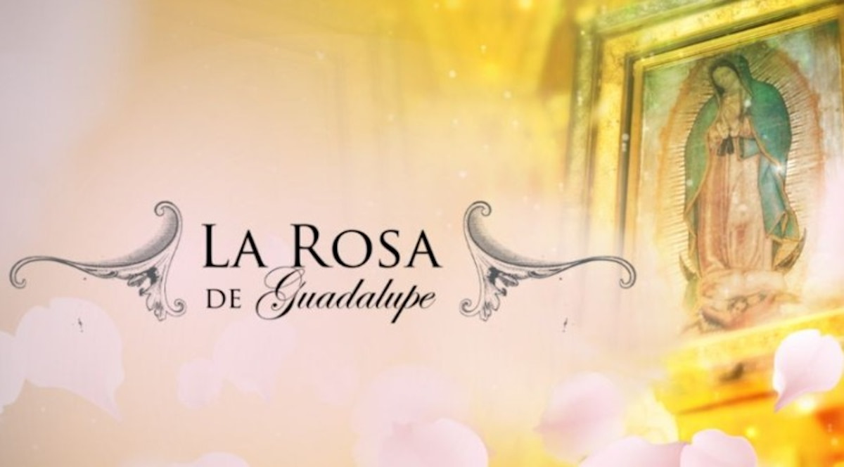 Fallece icónica actriz del programa ‘La Rosa de Guadalupe’