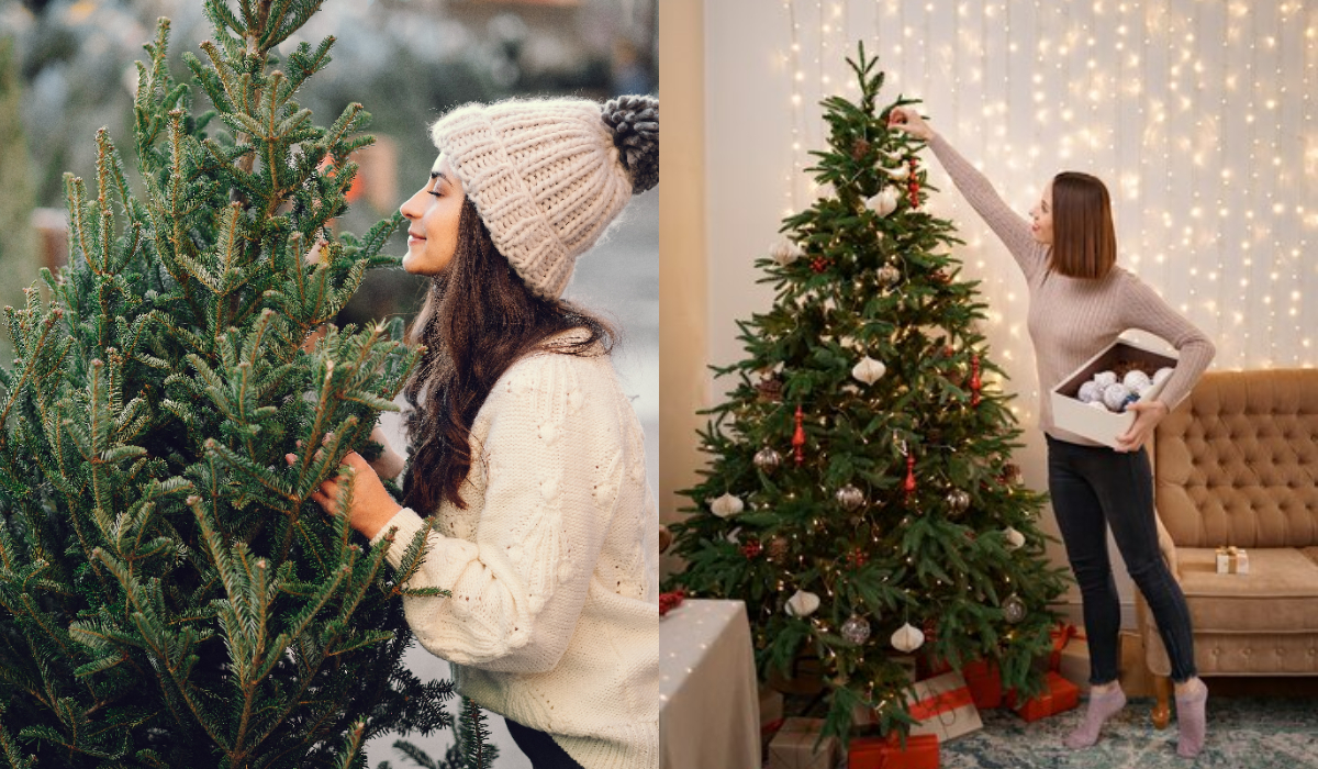 ¿Aún indecis@? Conoce los pros y los contras de comprar un árbol natural de navidad