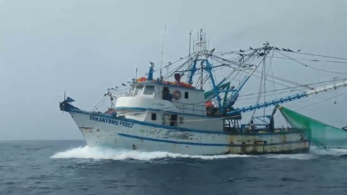 Quedan 129 barcos camaroneros pescando en altamar, pocos a comparación de otros años: Capitanía de Puerto