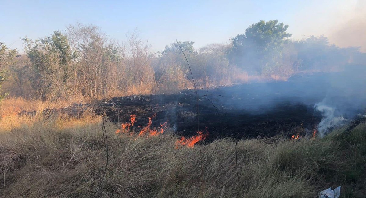 Se prende terreno baldío de Prados del Sol en Mazatlán; el fuego fue controlado por Bomberos Veteranos