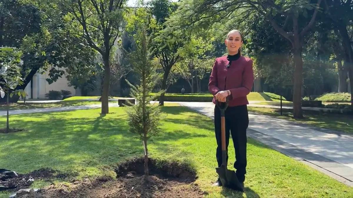 Mensaje de Año Nuevo 2025: Sheinbaum asegura éxito en la transformación de México