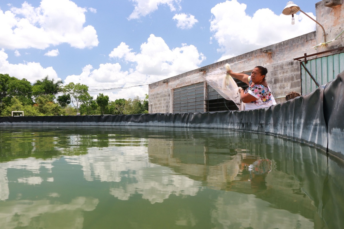 Asegura Conapesca balance positivo en apoyos a la pesca y acuacultura sostenibles este 2024