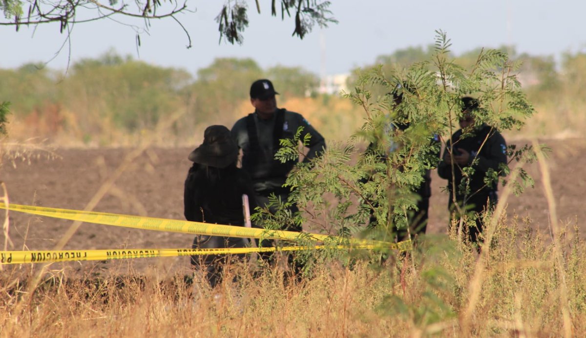 Localizan a seis personas ejecutadas brutalmente en El Bolillo, en Elota