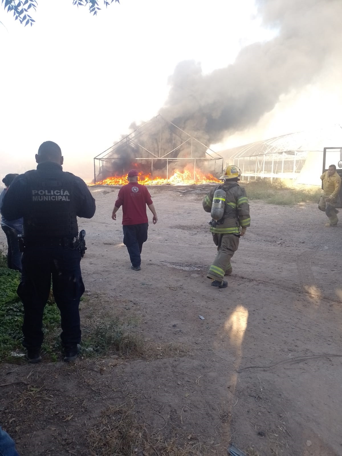 Se incendia empaque agrícola en Corerepe, Guasave; solo hay daños materiales