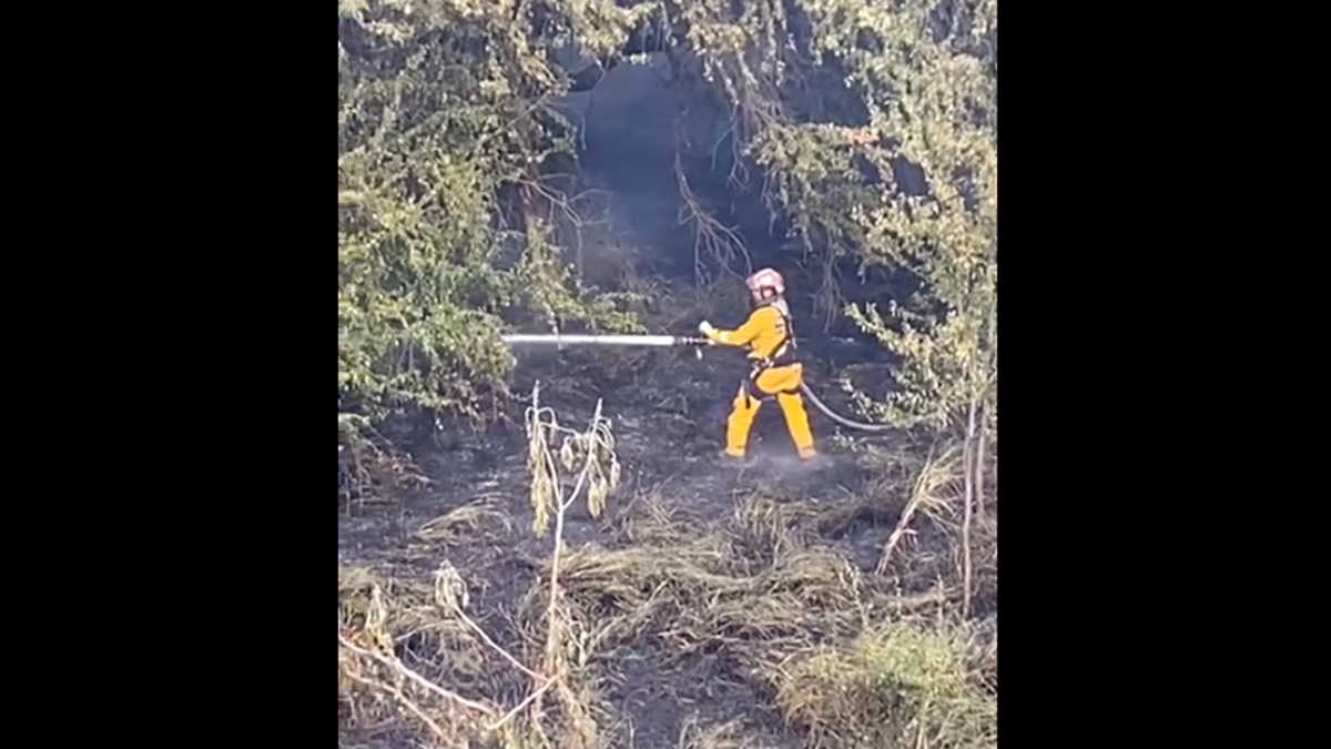 ¡Precaución! Caos vial por incendio de maleza bajo el puente Jorge Almada en Culiacán