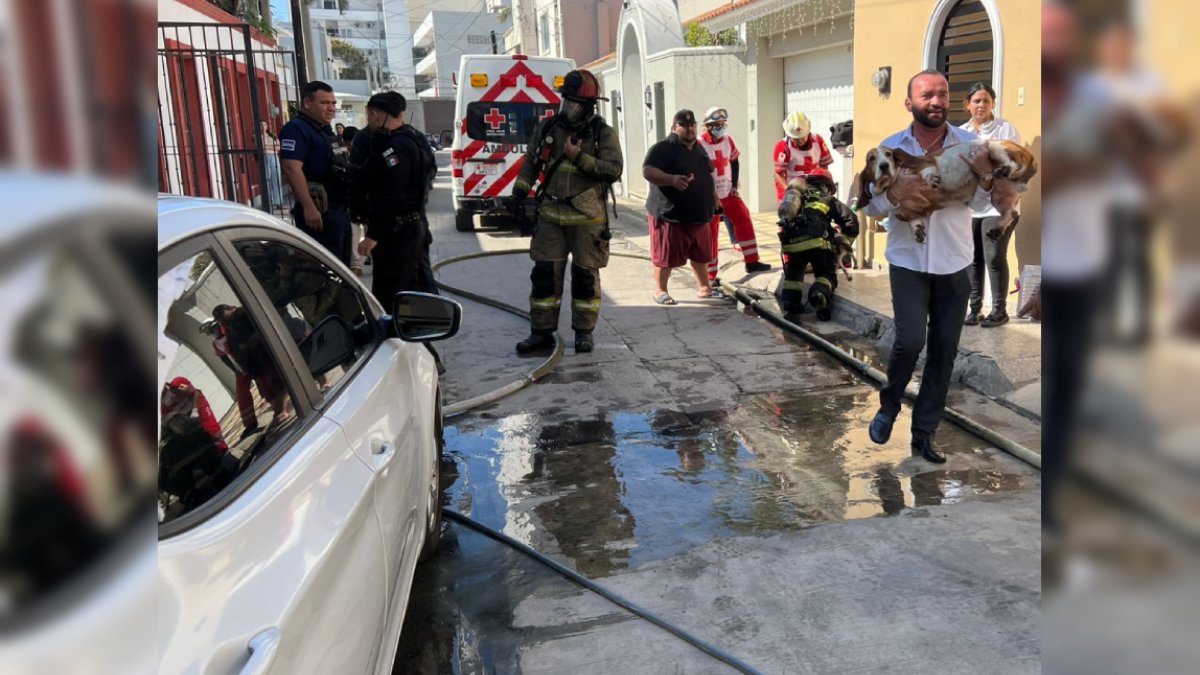 Arbolito de Navidad provoca incendio en la colonia Palos Prietos de Mazatlán