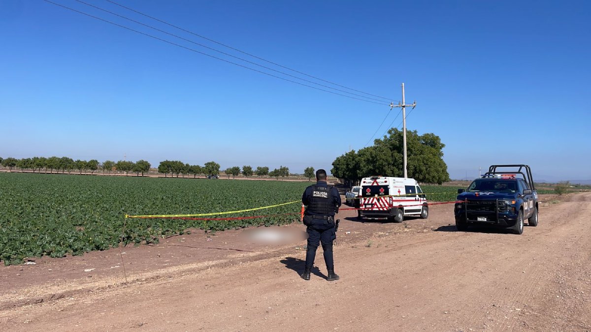 Jornalero pierde la vida al ser atropellado por el camión que lo transportaba, en Angostura