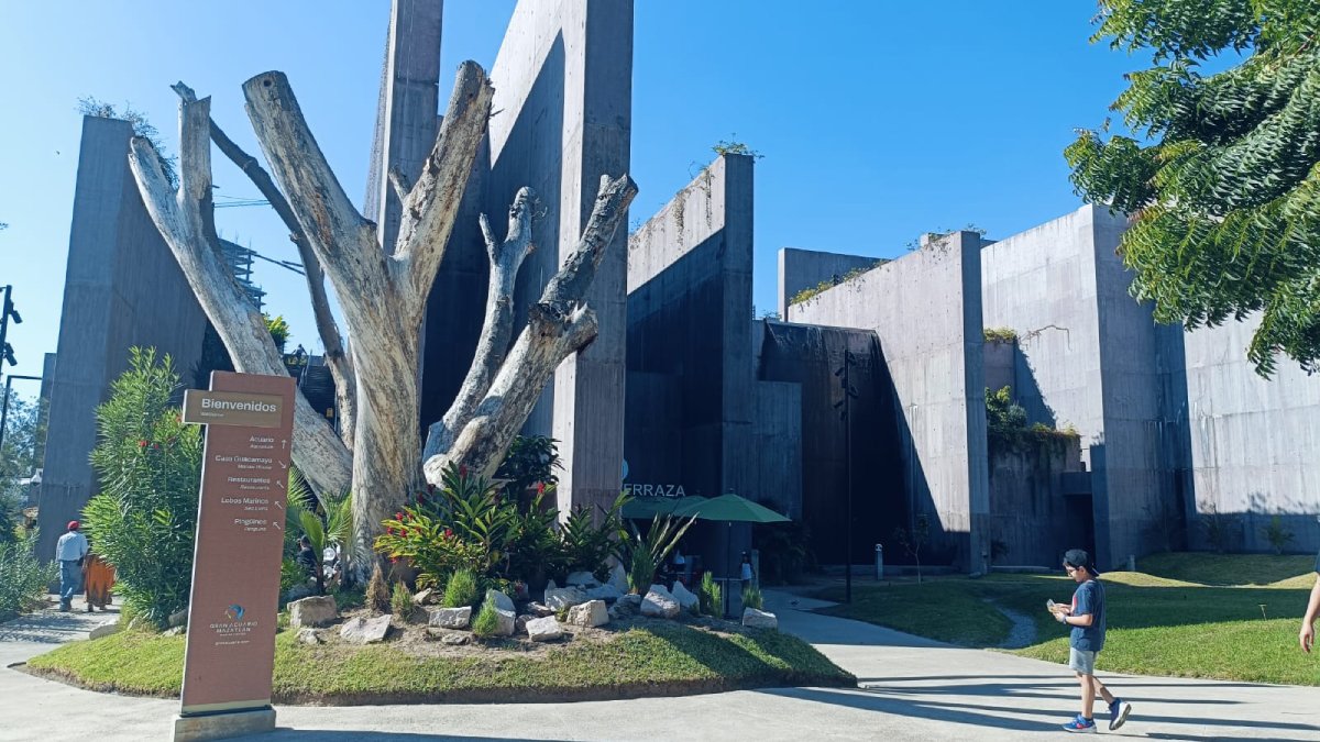 Más de 300 especies rescatadas fueron atendidas este 2024 en el Hospital de la Fauna del Gran Acuario de Mazatlán