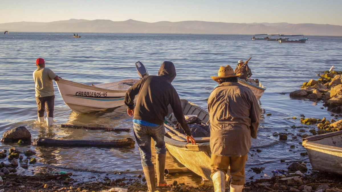 ‘Ahogan’ altos costos de operatividad a pescadores de Sinaloa
