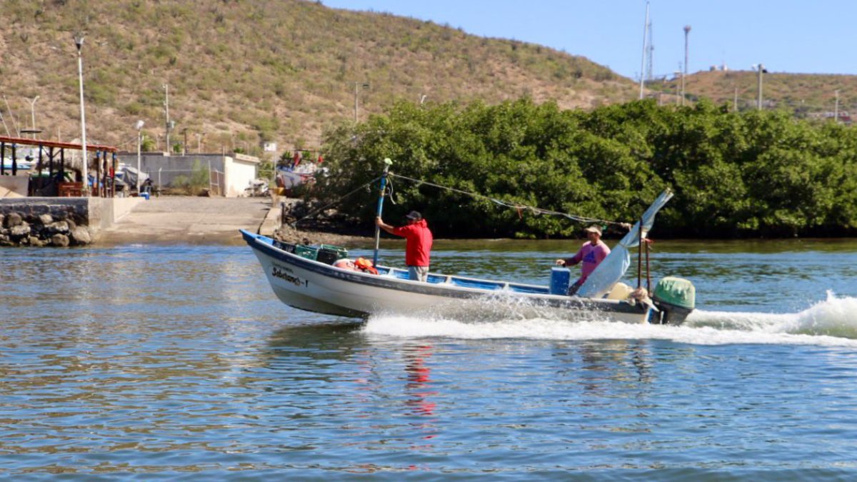 Pescadores ribereños del norte de Sinaloa enfrentan una ‘ola compleja’ ante el mar de gastos en combustibles