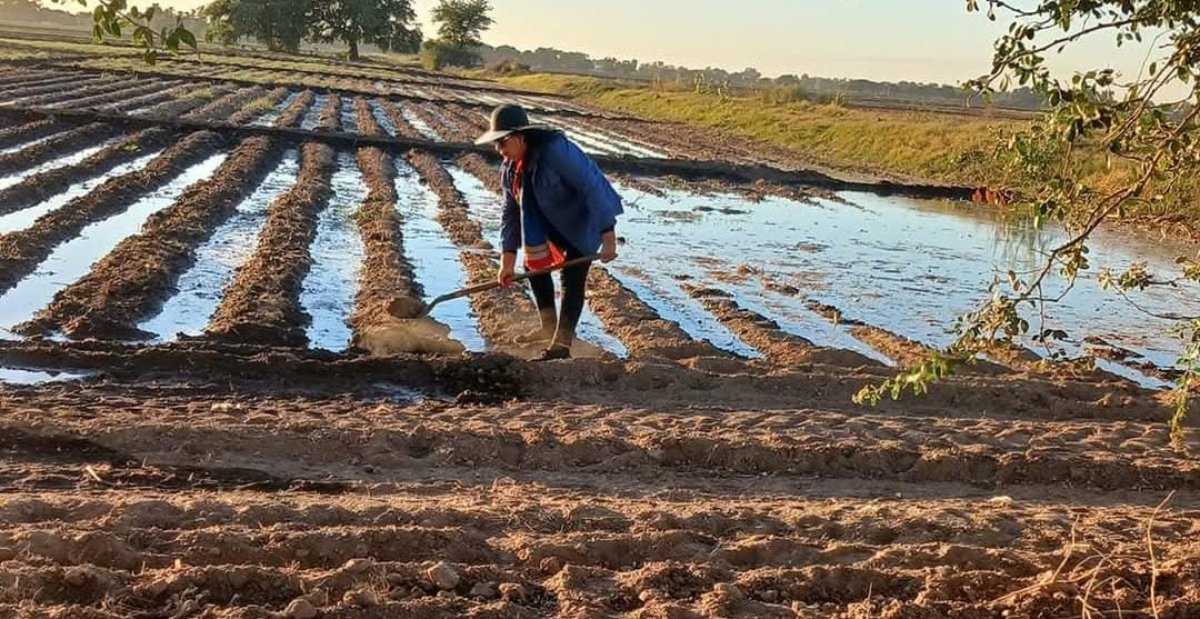 “El gran reto para el campo en el 2025 será avanzar en medio de la austeridad”: Jesús Rojo