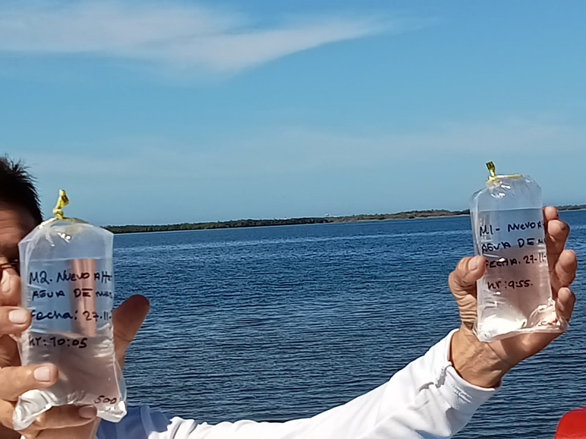 Todas las playas del estado de Sinaloa son seguras y no presentan ninguna alerta para bañarse, afirma Coepriss