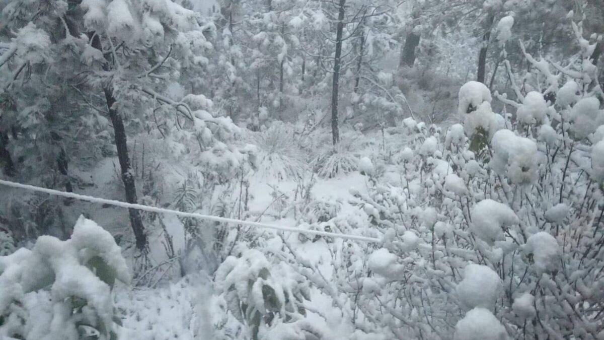Nevada en Edomex: cerro de Jocotitlán sorprende con paisaje invernal