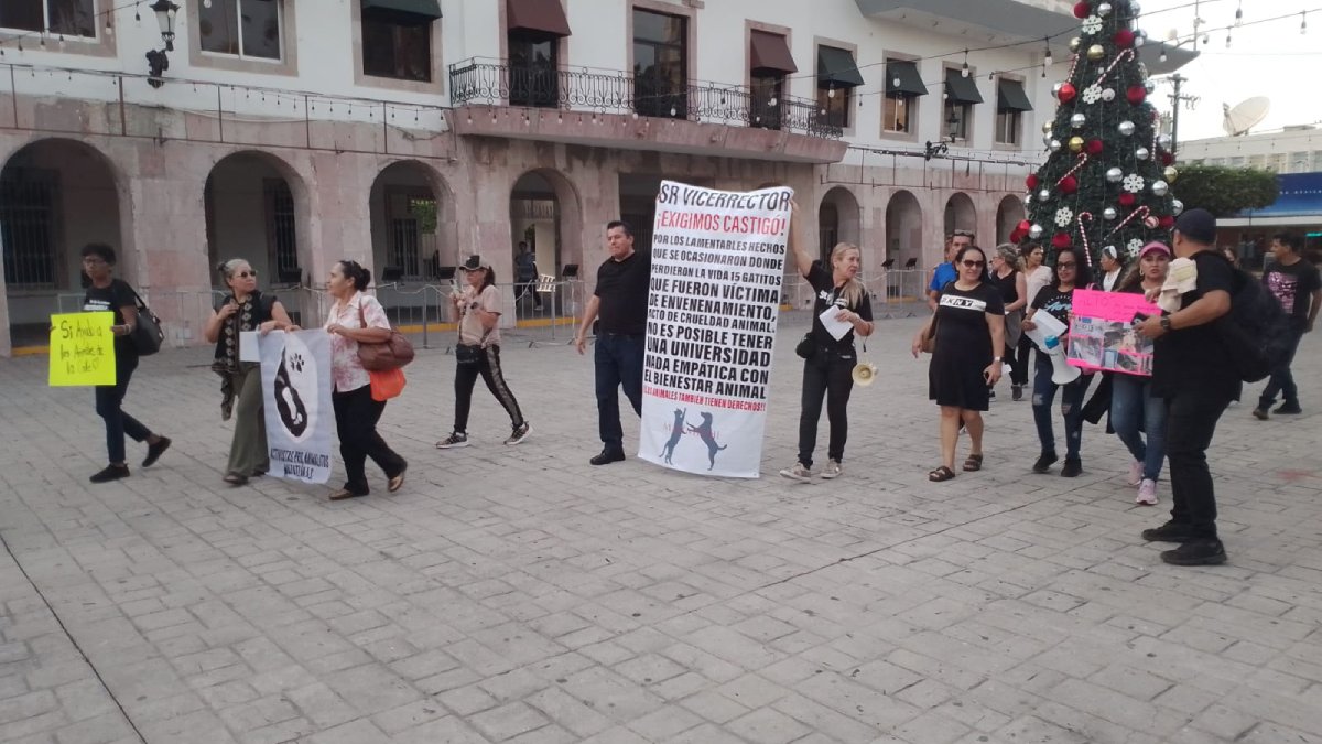 Llevan protesta por gatitos muertos en la UAS hasta la Plazuela República de Mazatlán