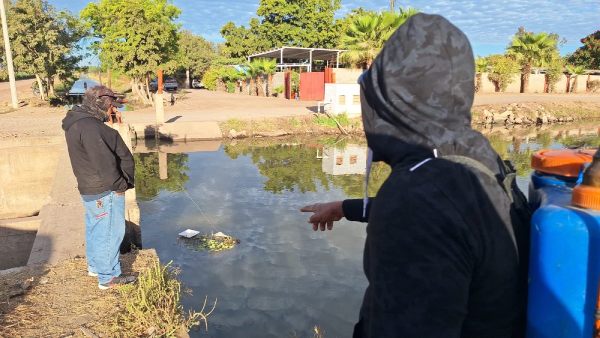 Cae automóvil a canal de riego en Costa Rica, Culiacán
