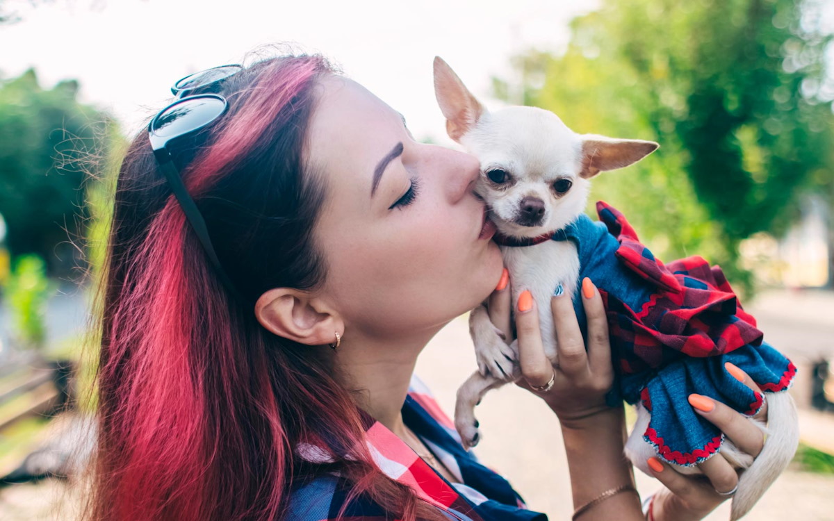 Día Mundial de Vestir a tu Mascota: Ideas y consejos para lucir con estilo