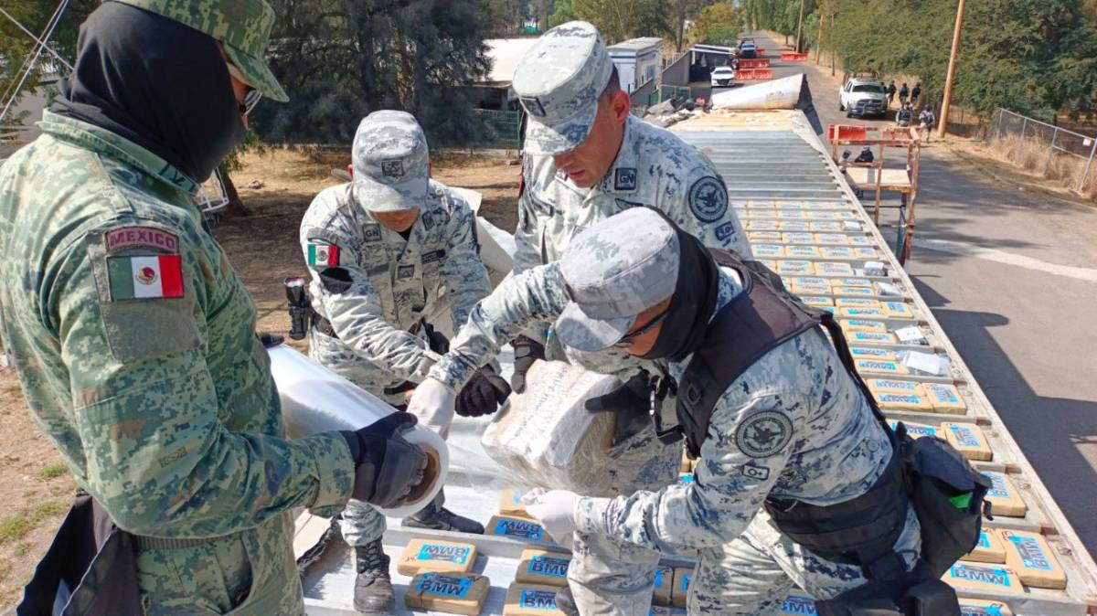 Desarticulan red de narcotráfico en Celaya con decomiso de 330 kilos de cocaína