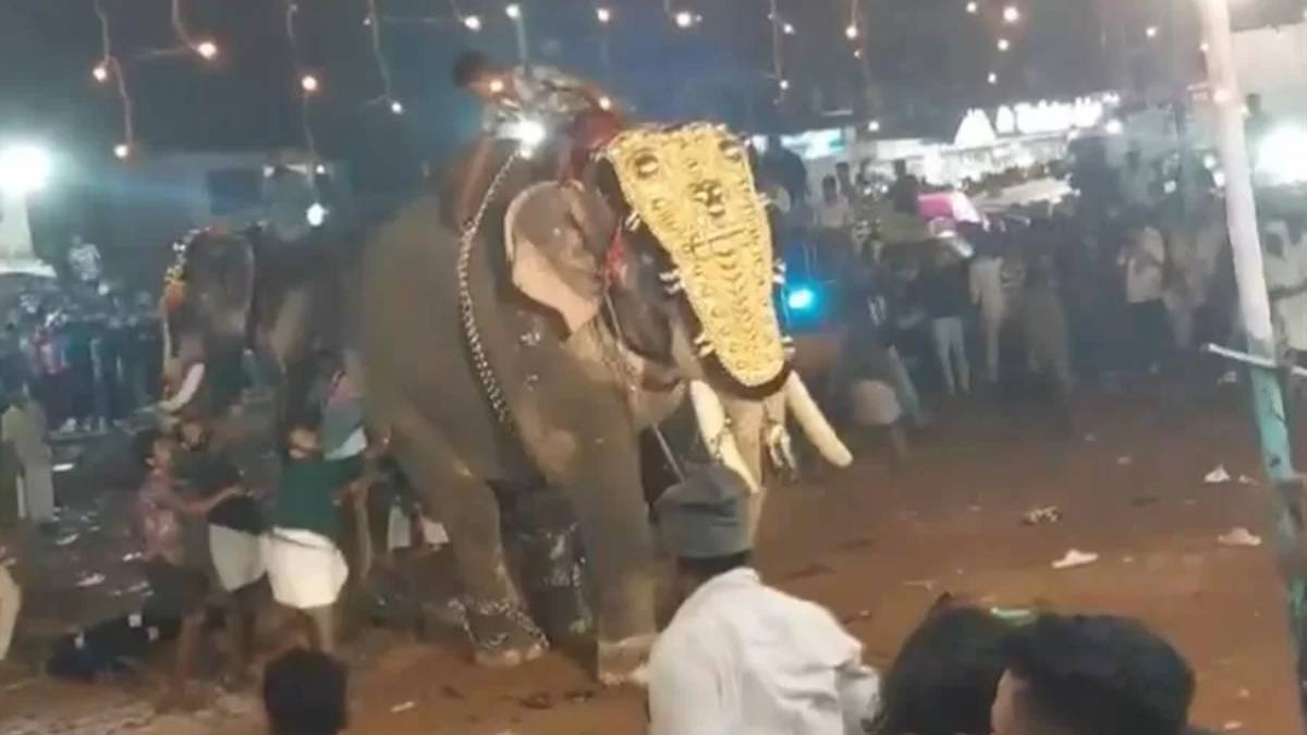 Video: Pánico en festival de la India; elefante ataca y deja 23 heridos