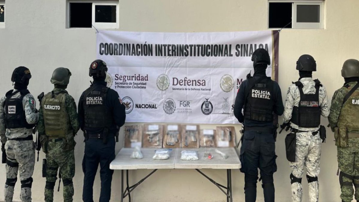Aseguran plantío de marihuana y armamento tras operativos en Mazatlán, San Ignacio y Elota