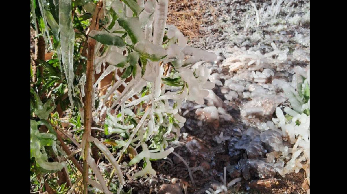 Frío extremo llega al “Triángulo Dorado”, amanecen con escarcha y agua congelada