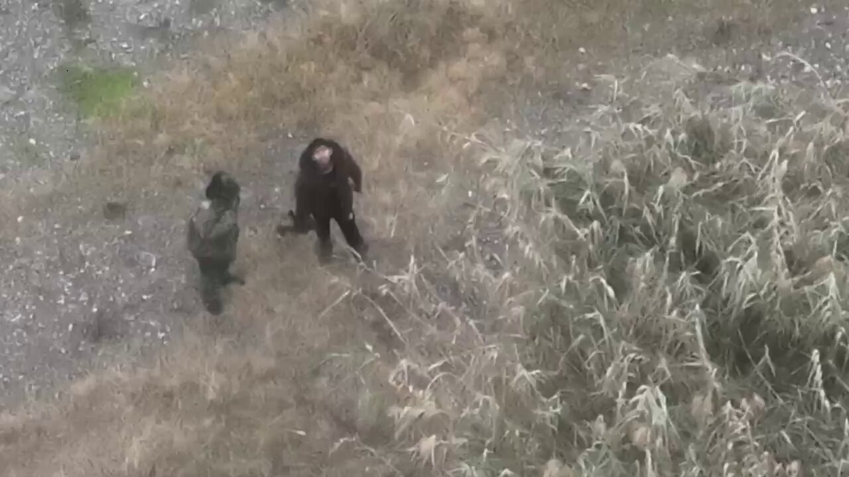 Hallan ‘narcocampamento’ en la zona del supuesto ataque a balazos contra la Patrulla Fronteriza