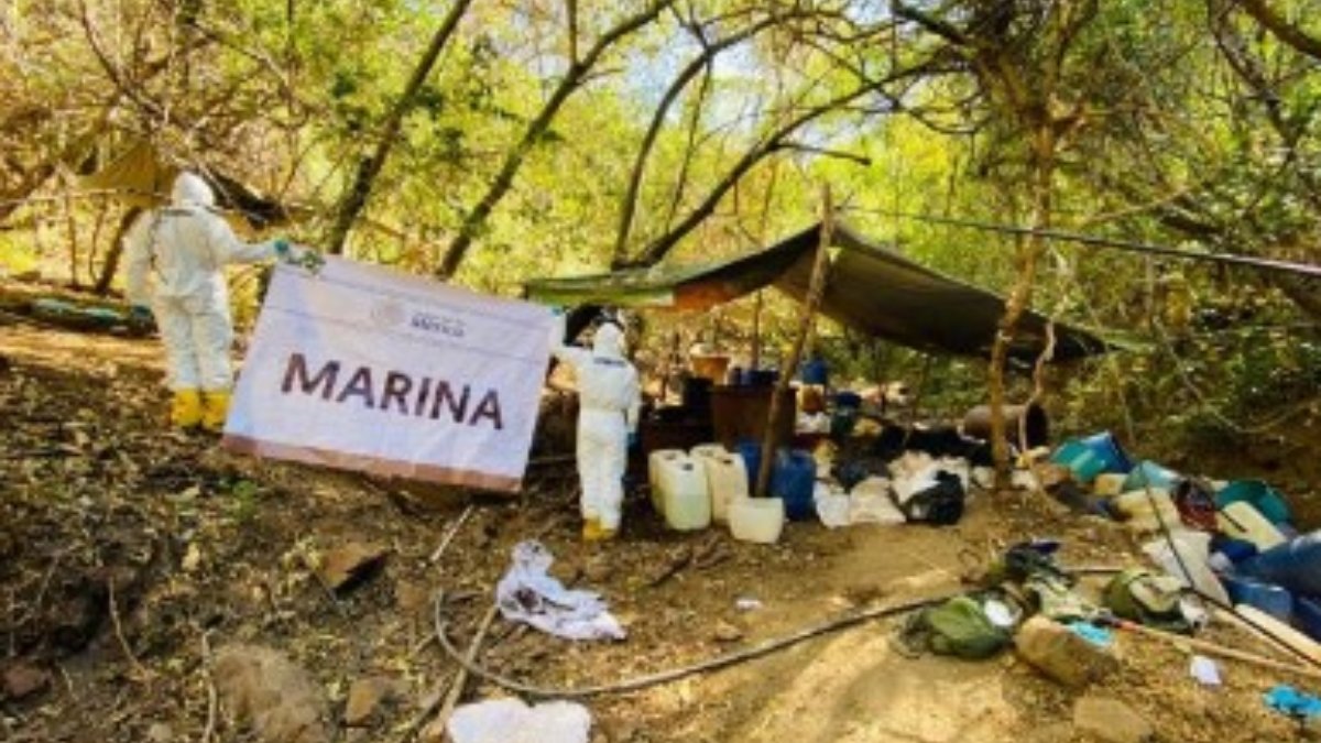 Desmantelan narcolaboratorio en el poblado Los Cedros, en Culiacán