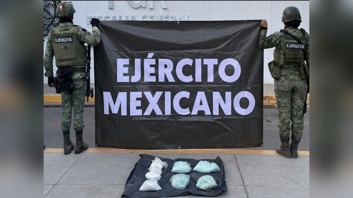 Fentanilo por 41. 7 mdp, un detenido, un narcolaboratorio y el león de Escuinapa: destacan aseguramientos en Sinaloa