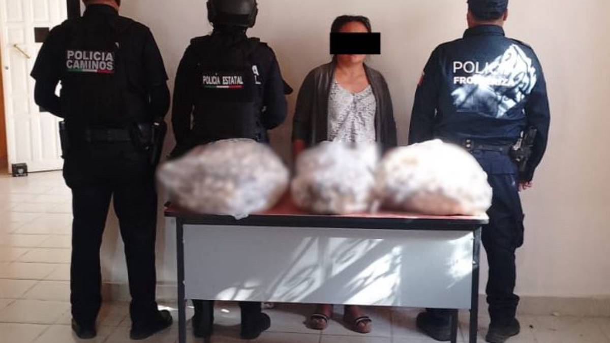 Detienen a mujer con casi 2 mil huevos de tortuga marina en Chiapas