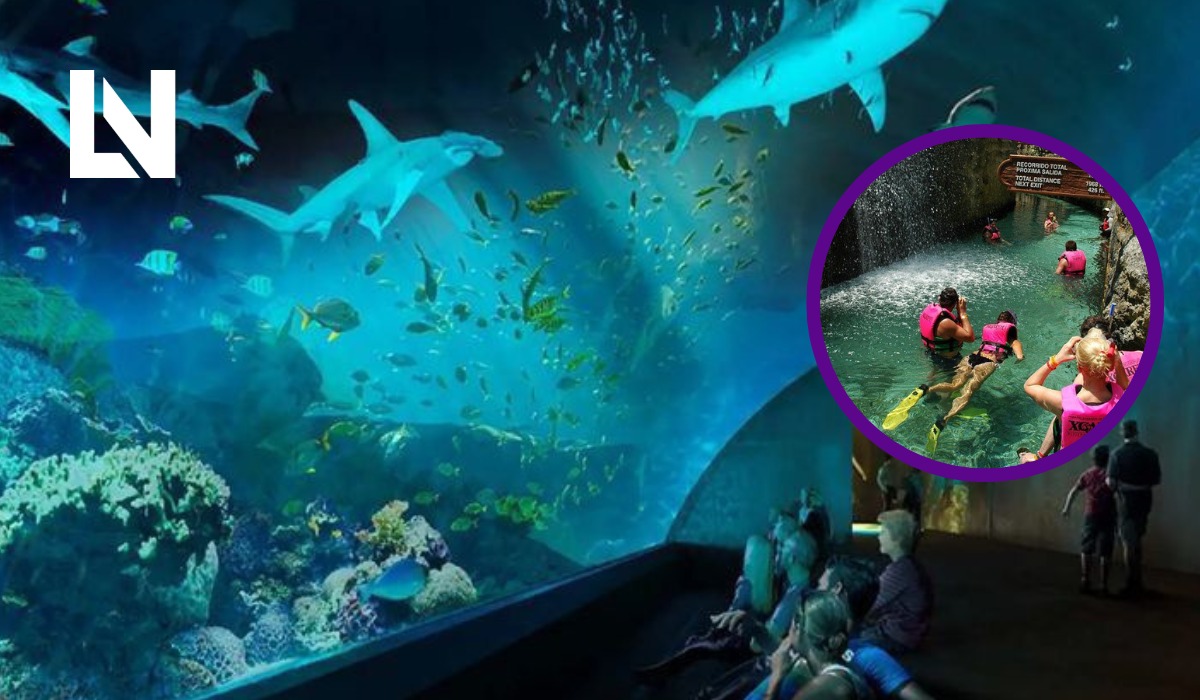 ¿Te imaginas un Xcaret pero en Mazatlán? En unos días será oficial el nuevo bioparque temático