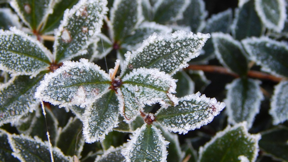 ¡Se desploma! El frío amanace en 6 grados en la capital sinaloense, marcando un nuevo mínimo; el norte lo hizo en 4