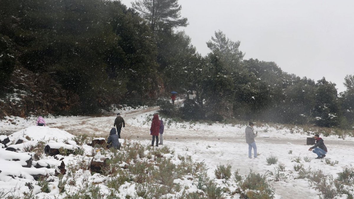 ¡Qué frío! Hoy la sierra de Sinaloa amaneció entre -10 y -15 grados; pronto se disipará la tormenta