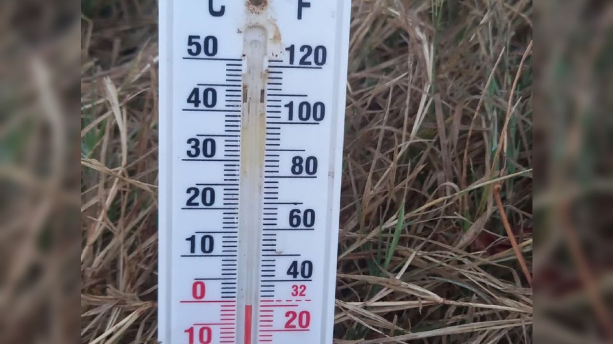 ¡Cayó a -1! Registran hoy la temperatura más baja del año en Genaro Estrada, Sinaloa