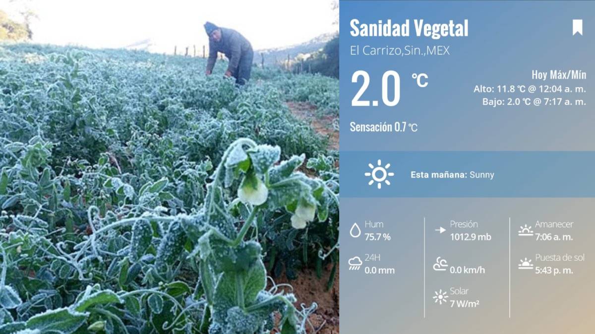 Se cae el termómetro en El Carrizo a 2.2 grados; tiene sensación térmica de 0.7°