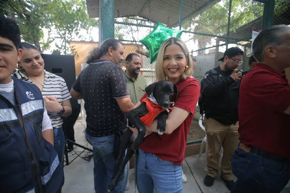Logra ‘Huellitas del Bienestar’ esterilización de 892 mascotas en Mazatlán