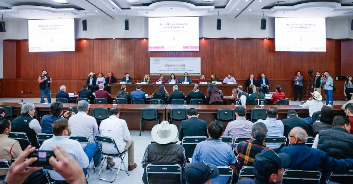 “En  tres años se recuperará estatus zoosanitario”: Comparece secretario de Agricultura y Ganadería en el Congreso 