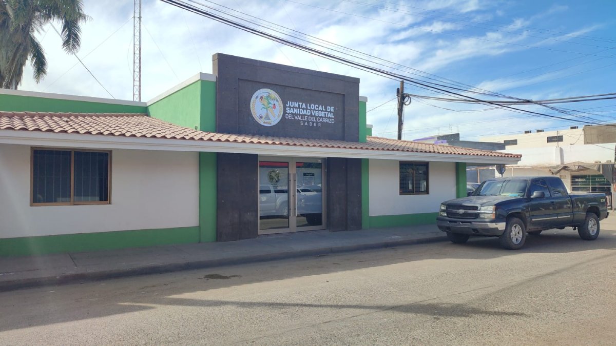¡Cero y van dos! Sin daños hortalizas en el Valle de El Carrizo; pero el frío cala fuerte aun: JLSV