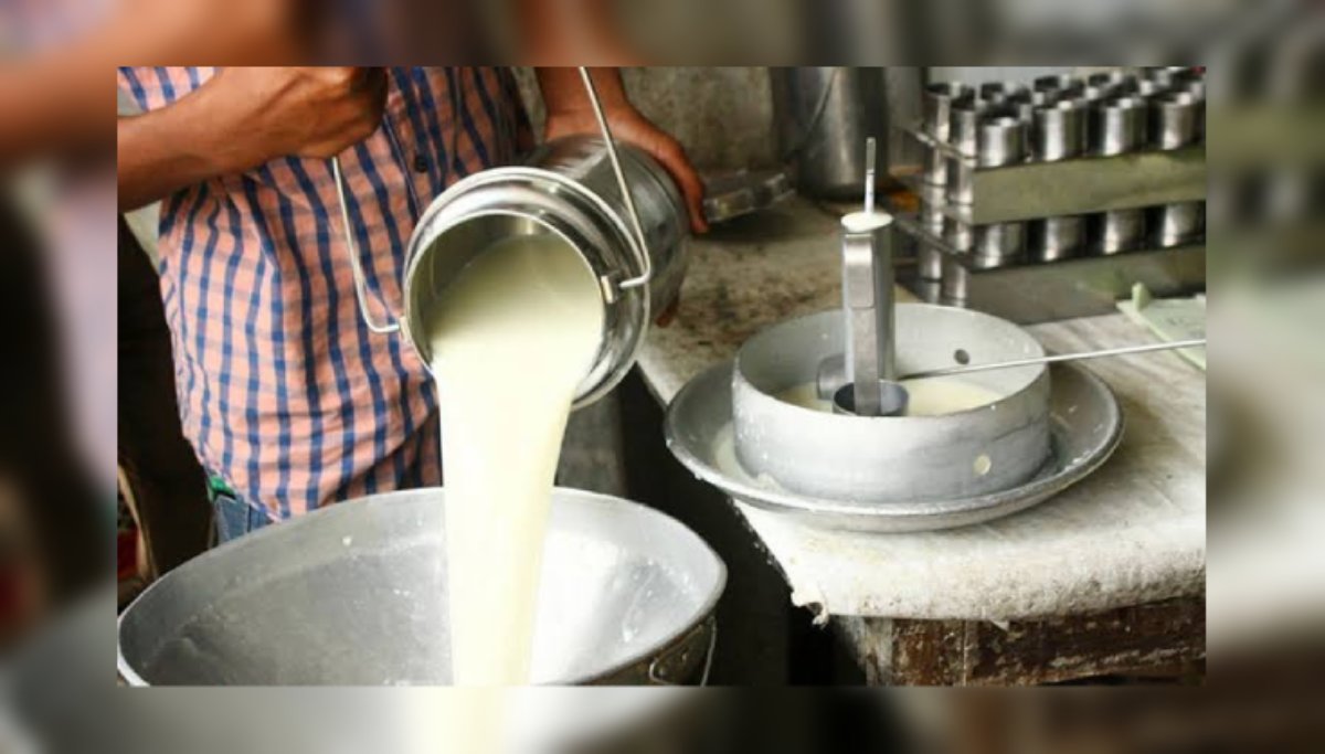 A cuenta gotas avanza proyecto del centro de acopio de leche Bienestar en Mazatlán