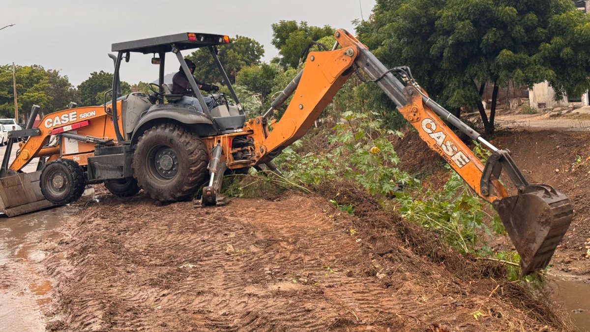 Desaíran empresas entrar a labores de limpieza y desmonte de camellones en Ahome; van por segunda convocatoria