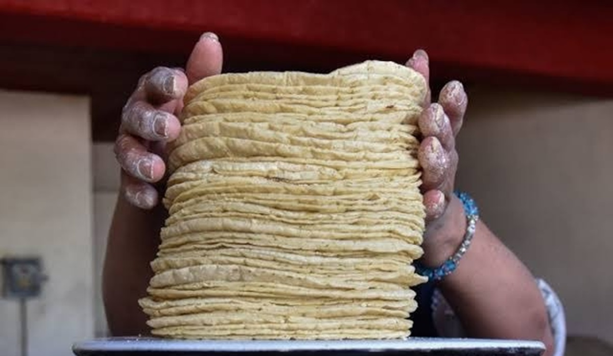 Mazatlecos resienten aumento en las tortillas