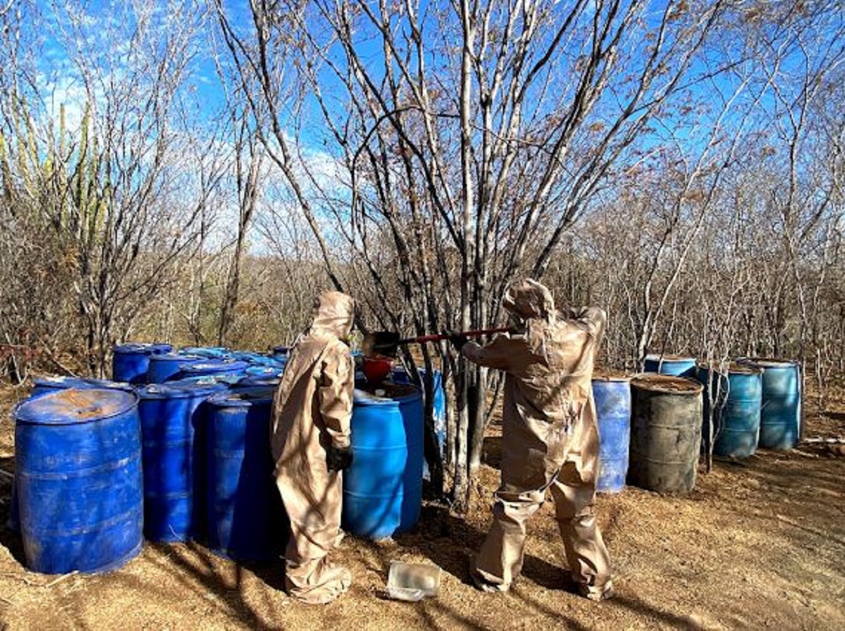 Desmantelan dos narcolaboratorios en Sinaloa; el ‘golpe’ fue de 103 mdp