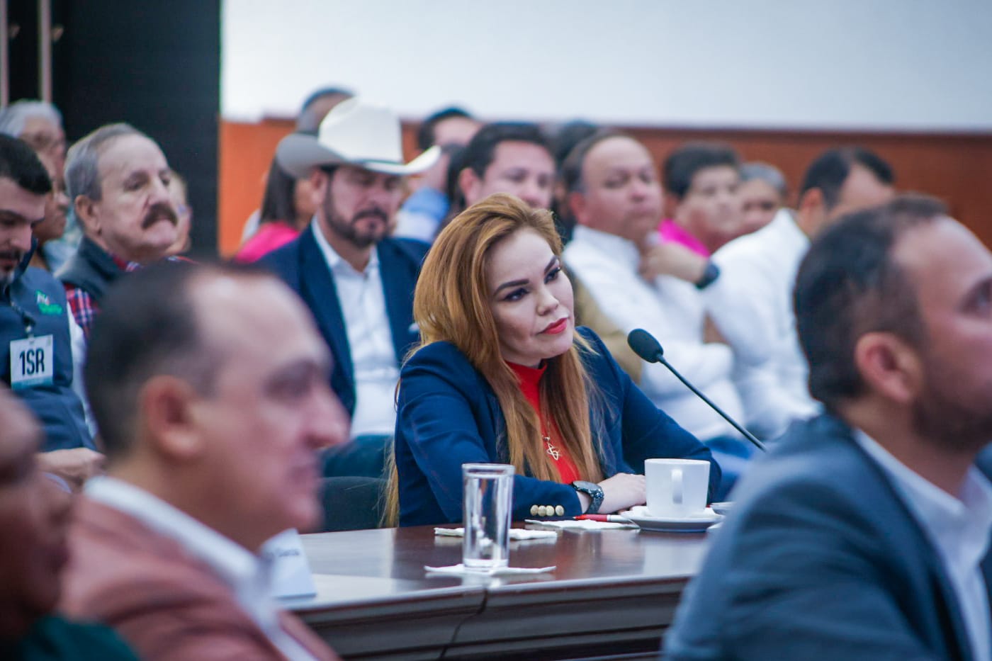 “Ni para meme ni para broma”, propuesta de cambio en nombre de Eldorado por AMLO está fuera de lugar: PRI