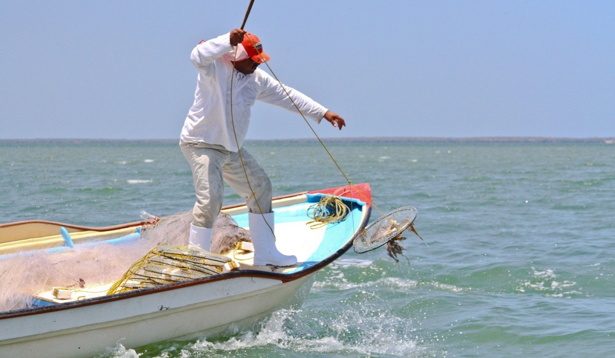 Es difícil cumplir con la demanda en cuanto a variedad de productos del mar en esta Cuaresma: Pescadores