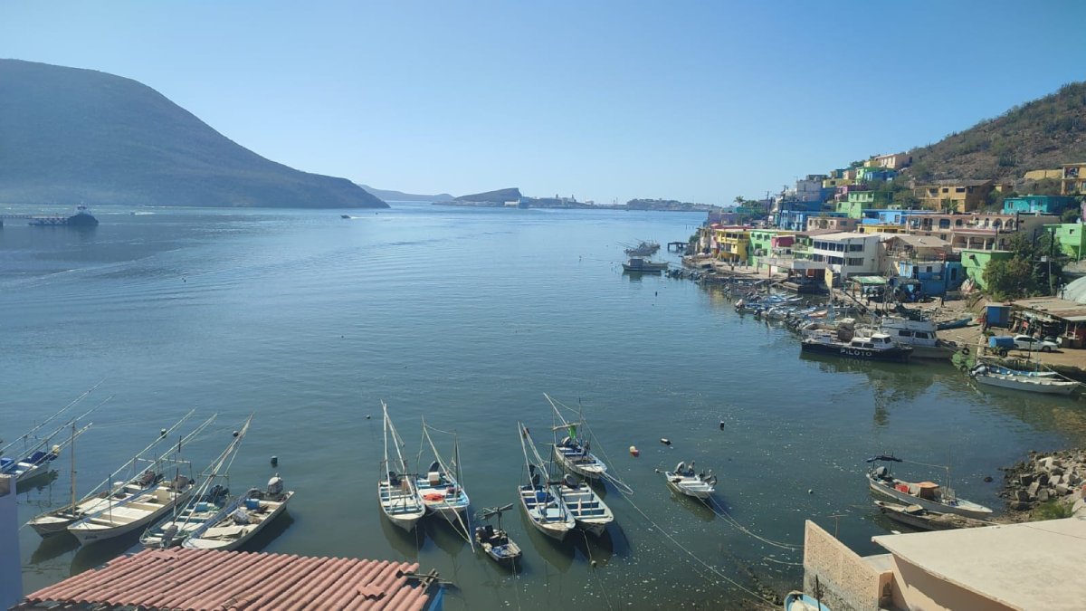 El desguace de embarcaciones en Topolobampo podría superar el 50% de la flota camaronera