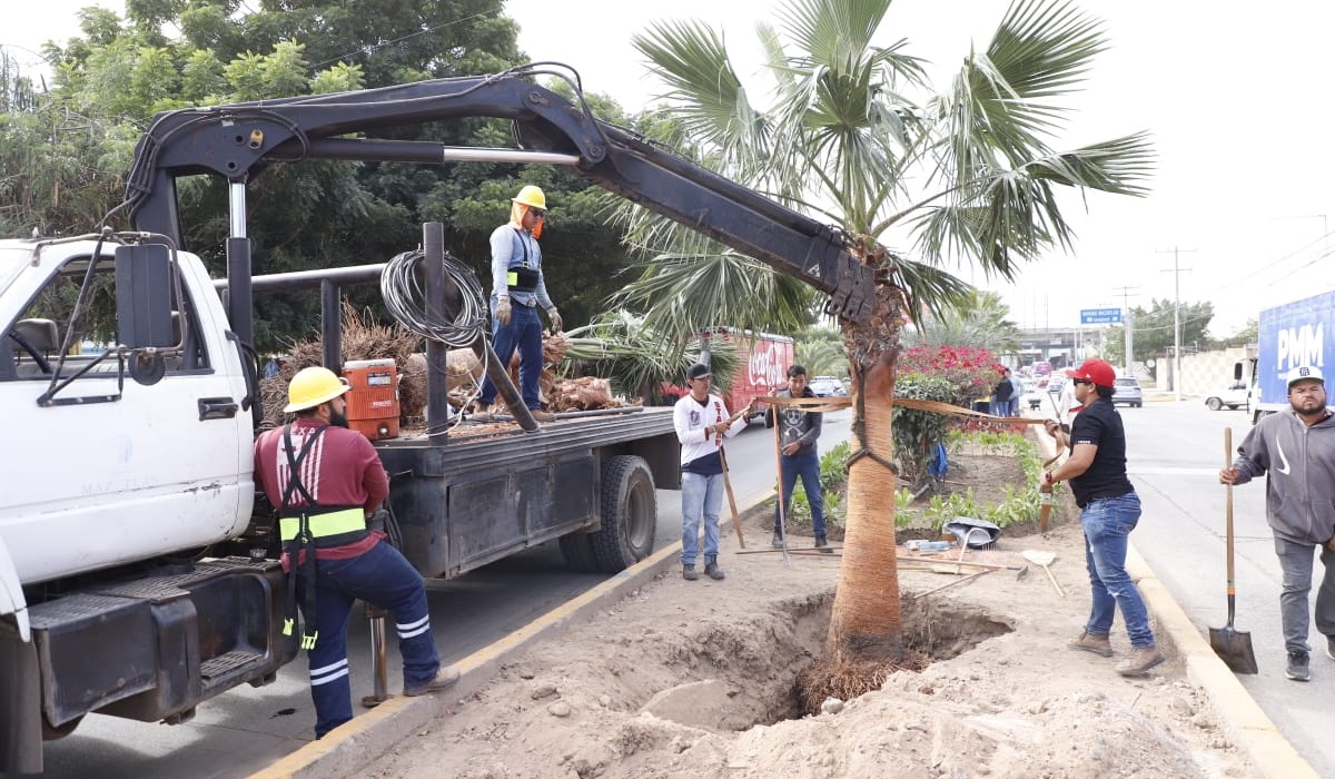 Llega el programa “Camino de Colores” a la avenida Manuel J. Clouthier, en Mazatlán